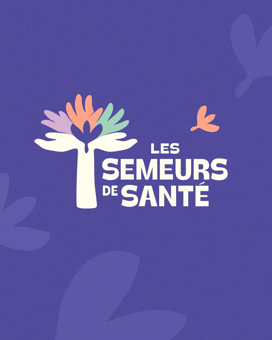 Semeurs de Santé identité visuelle