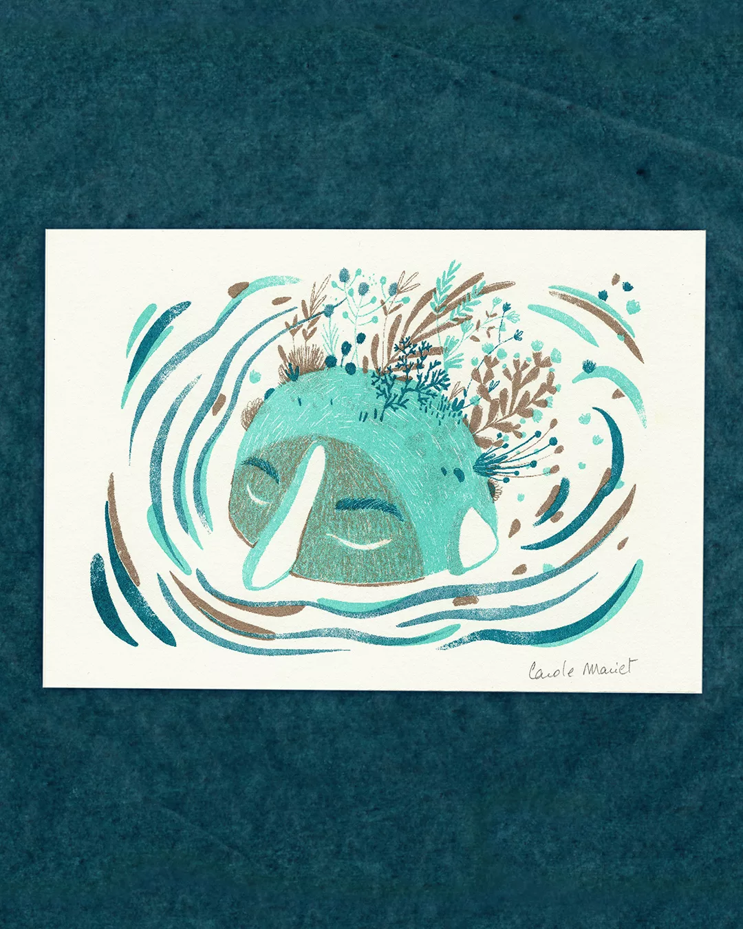 Illustration imprimée en risographie d'une tête dans l'eau avec de la végétatioon sur son crâne