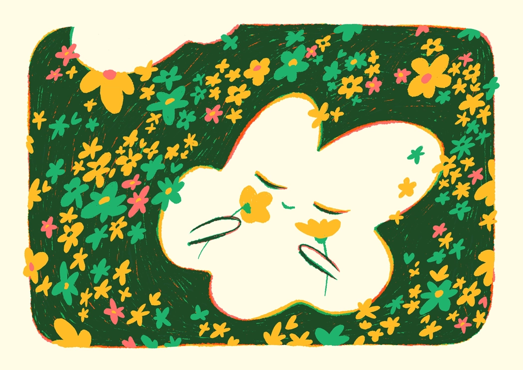 Illustration Champ Fleurs 