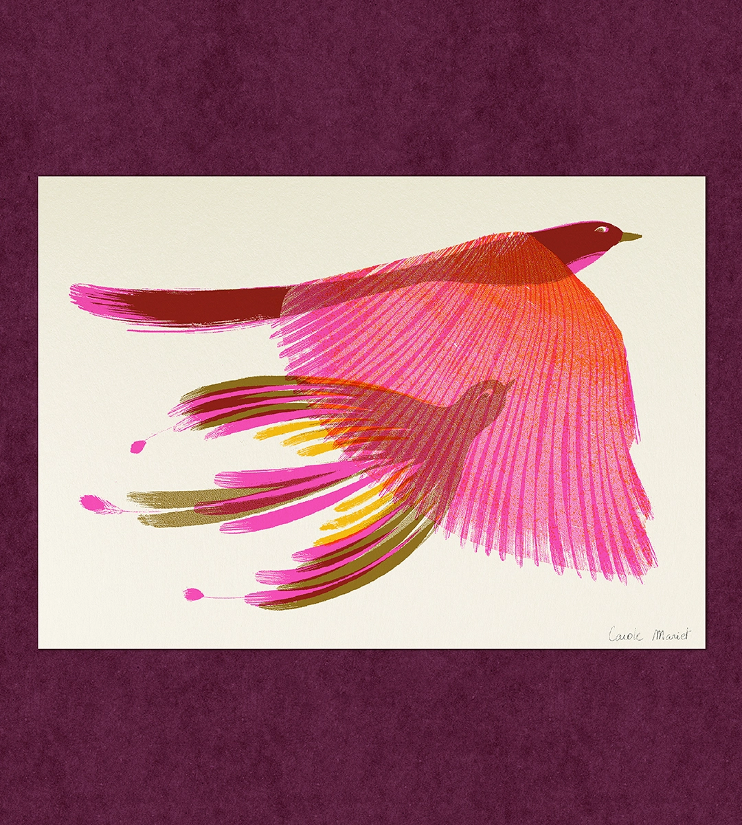 Carte risographie Oiseaux rose fluo