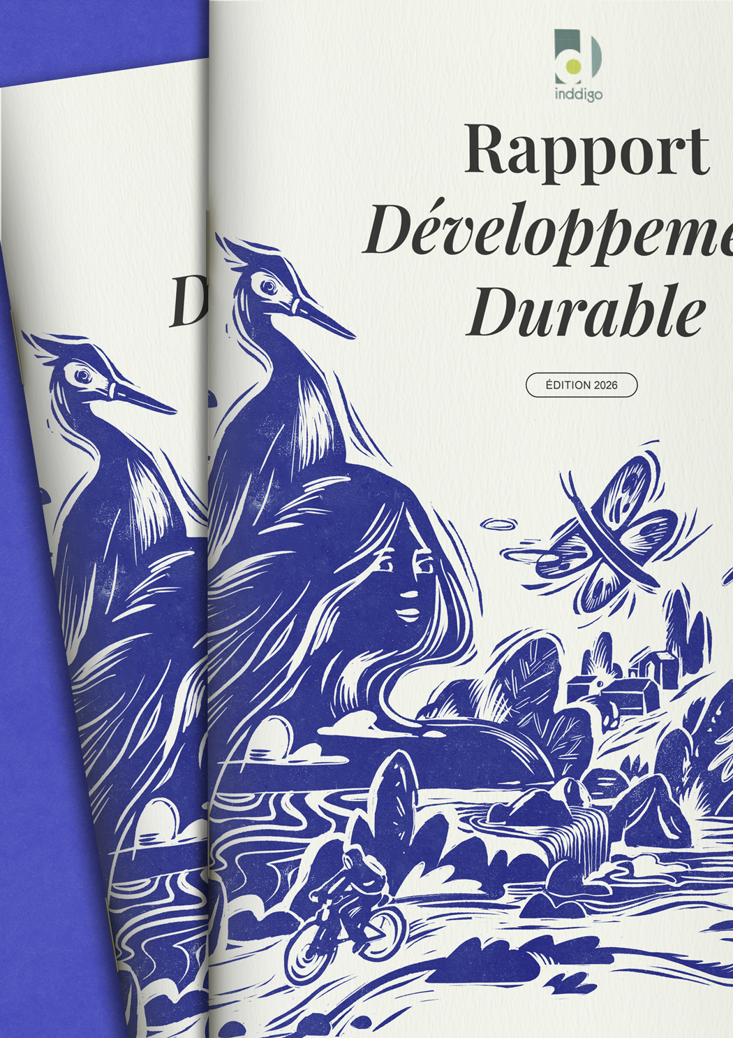 Rapport Développement Durable couverture linogravure
